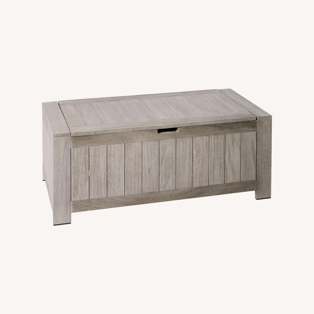 West Elm Playa Outdoor Storage Trunk